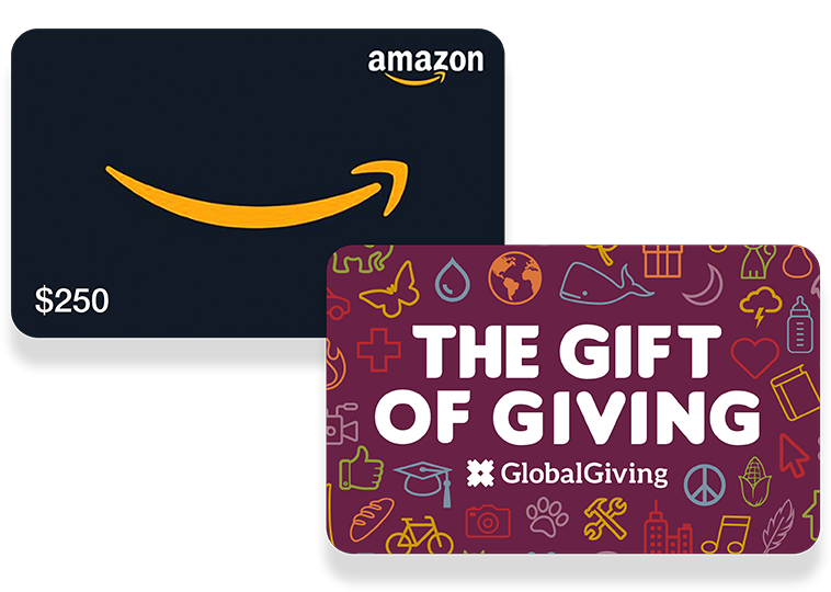 Two gift cards, one for Amazon with logo for $250 and the other for Global Giving